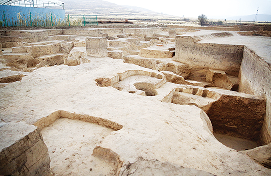隆德沙塘新石器时代遗址有新发现 