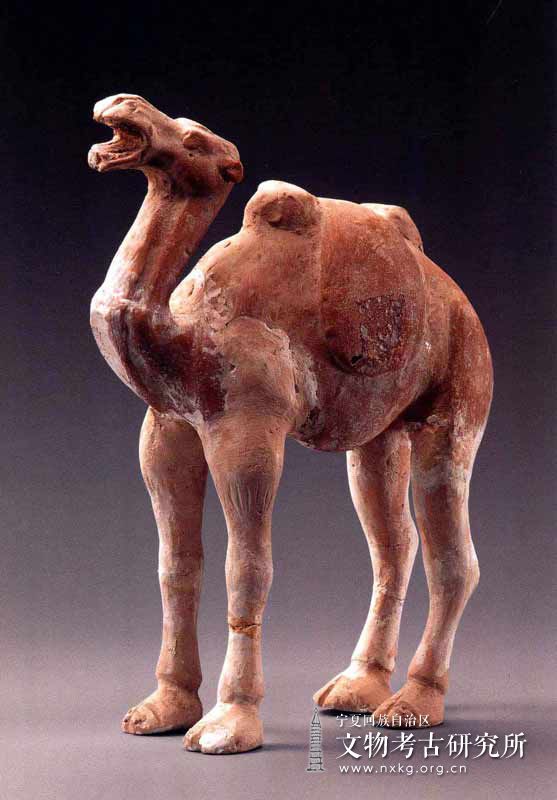 彩绘骆驼俑