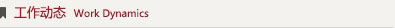 工作动态